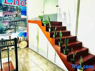 Nature Life Guest Inn - 69