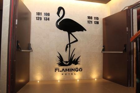 Checkin Flamingo - 11