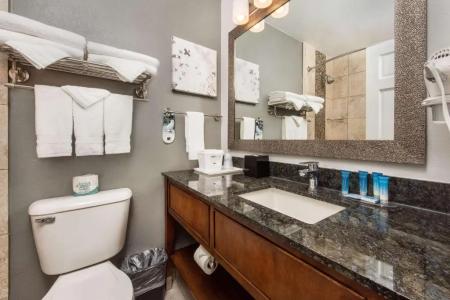 Best Western Plus Milwaukee West - 53