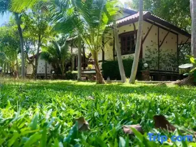 Talkoo Beach Resort Khanom - 41