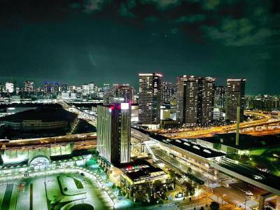 Tokyo Bay Ariake Washington - 25