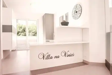 Villa na Vinici - 20