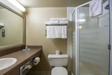 Comfort Inn & Suites Airport South - 7