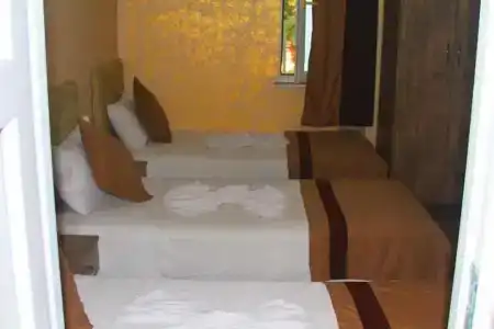 Özgür - 1