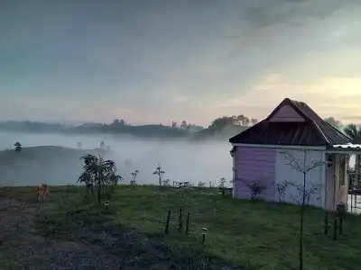 Lovely Farm - 27