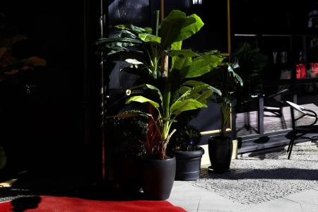 Provocateur Berlin, a Member of Designs - 20