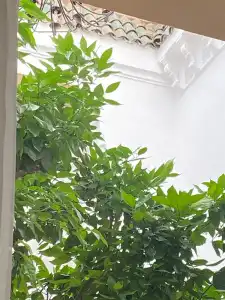 Riad Les Orangers d'Alilia - 63