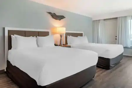 Dolphin Sands Clearwater Beach, an Ascend Collection - 83