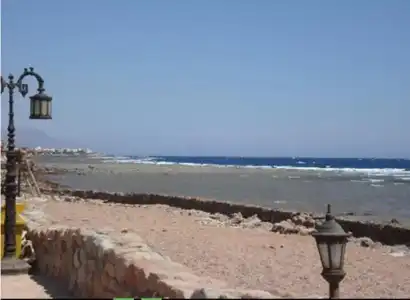 Penguin Village Dahab - 1