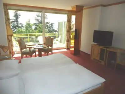 Grand du Parc Montana - 19