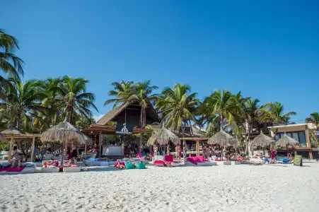 La Zebra Tulum - a Small Luxury - 18
