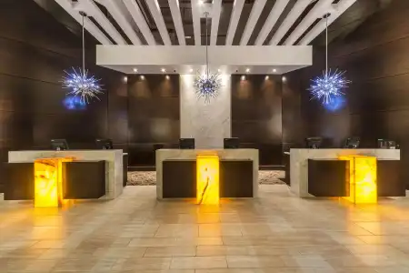 Hilton Tampa Downtown - 14