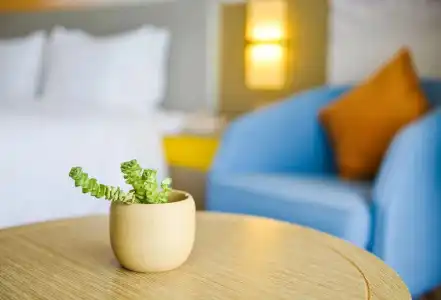 Holiday Inn Express Lhasa Potala Palace by IHG - 29