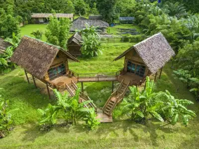 Our Jungle Camp - Eco Resort - 12
