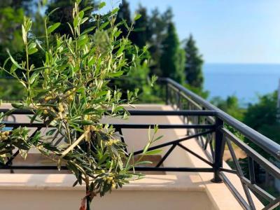 Apartments Lungo Mare - 35