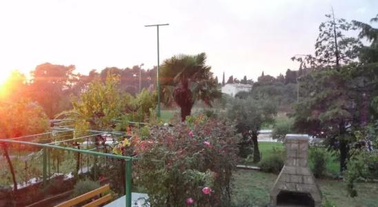 Guest House Jasmin - 11
