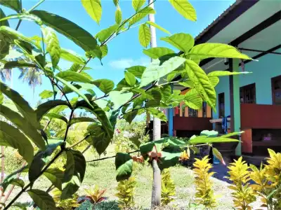 Lanta Mother Hostel - 38