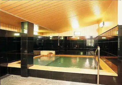 Yamagisi Ryokan - 22