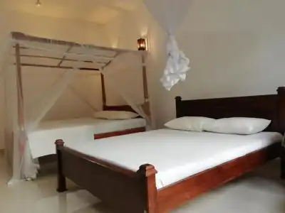 Mirissa Cocoon - 2