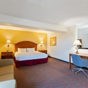 Orlando Palms - 31