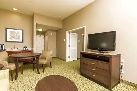 Hilton Garden Inn St. George - 76