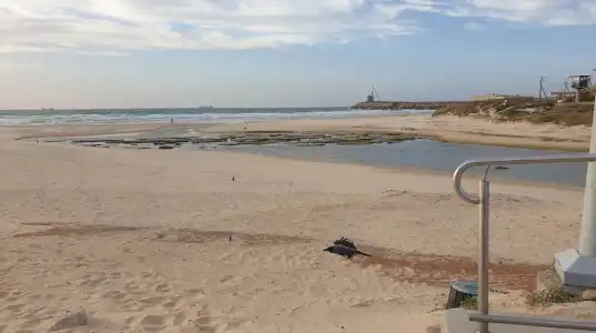 Spat Ashdod - 128