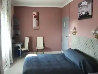 Hôtel Le Dauphin Bleu - 47