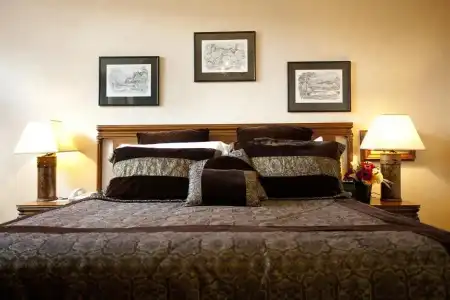 Distinction Coachman, Palmerston North - 80
