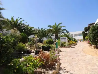 el Puntazo II - 21