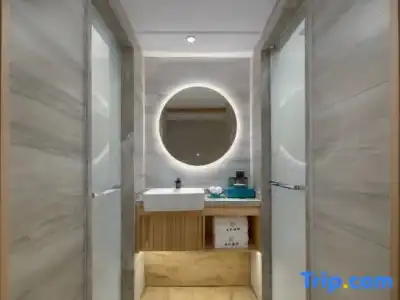 Hôtel Ibis Toulouse Purpan - 85