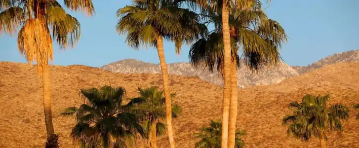 California - A Town & Desert Boutique - 13