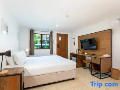 Dolphin Bay Beach Resort - 251
