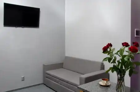 Pushkinskaya Apartments - 46