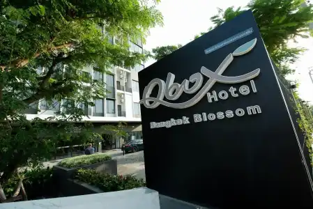 Q-Box Bangkok Blossom - 0