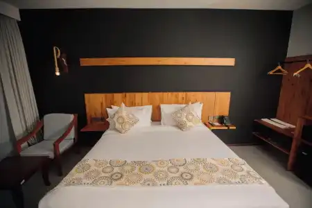 Giraffe Ocean View - 22