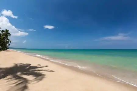 JW Marriott Khao Lak Resort Suites - 30