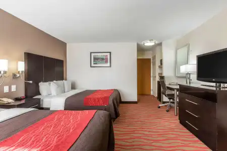 Comfort Inn Los Angeles near Hollywood - 3