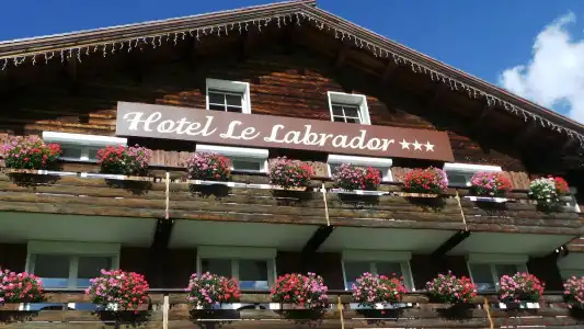 Le Labrador - 0