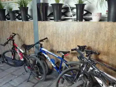 Mama Naxi Guesthouse - 12