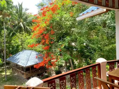 Koh Tao Tropicana Resort - 37