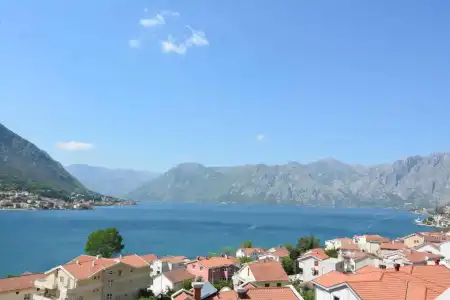 Apartments Dobrotski Dvori - 97