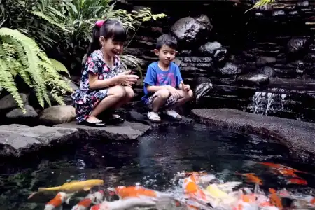 Eastparc Yogyakarta - 33