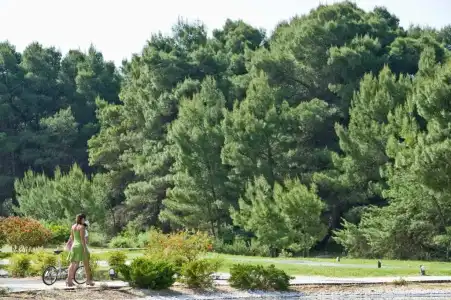 Ethra Reserve Alborèa - 1