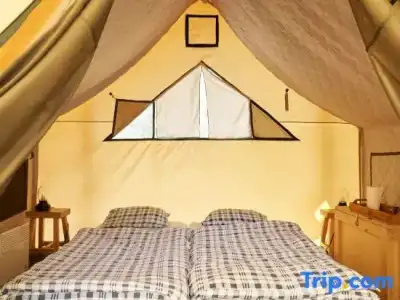 Glamping Pana Ayusai - 289