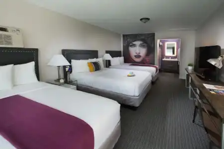 Iris - San Diego - 65