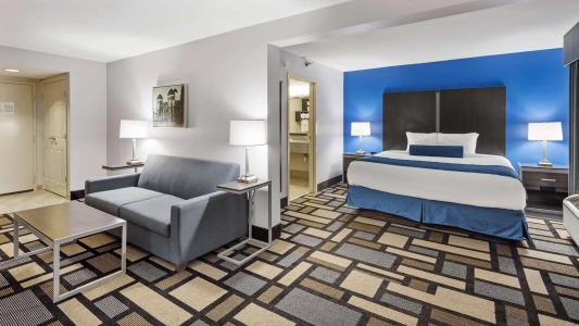 Best Western Plus Birmingham Inn  Suites - 39