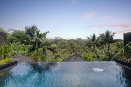 Black Penny Villas Ubud - 49