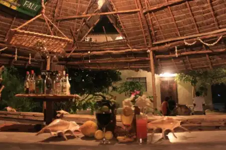 Mfumbwi Backpacker Lodge - 18