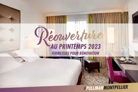 Pullman La Pléiade Montpellier Centre - 35
