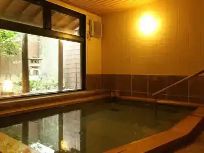 Sarusawaike Yoshidaya - 9